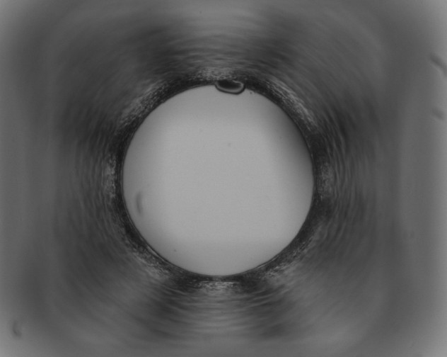 X0000091510497200709070957