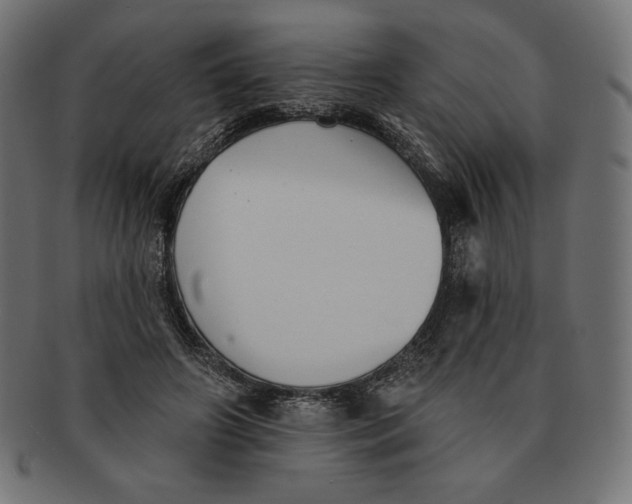 X0000091510498200709070957