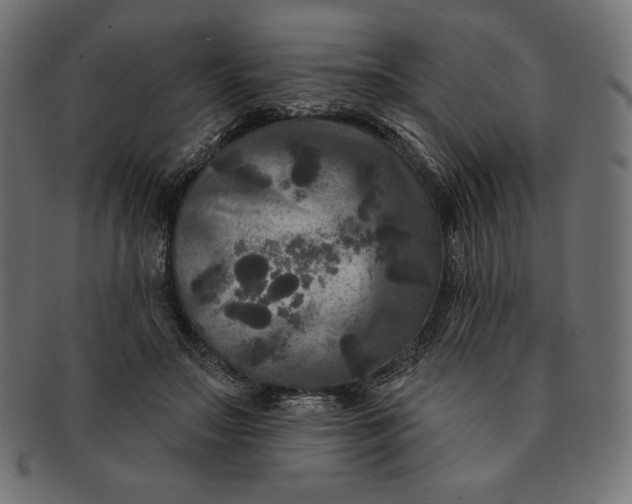 X0000091510499200709070957