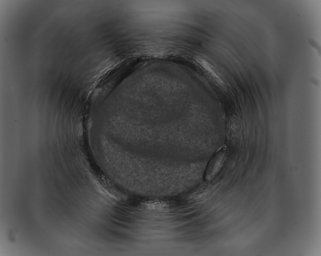 X0000091510500200709070957