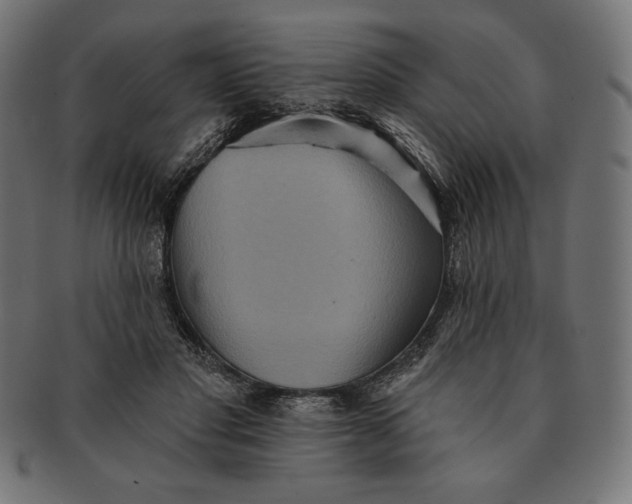 X0000091510501200709070957