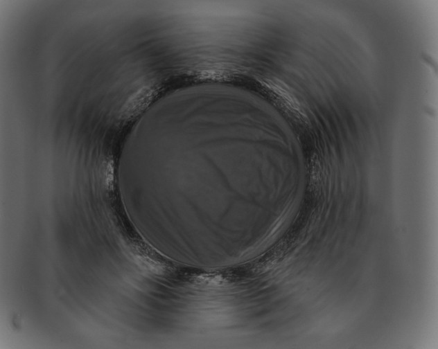 X0000091510502200709070957