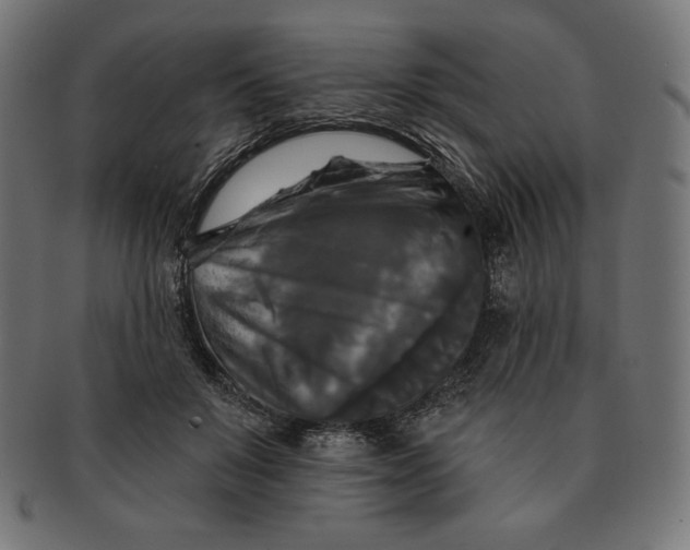 X0000091510503200709070957