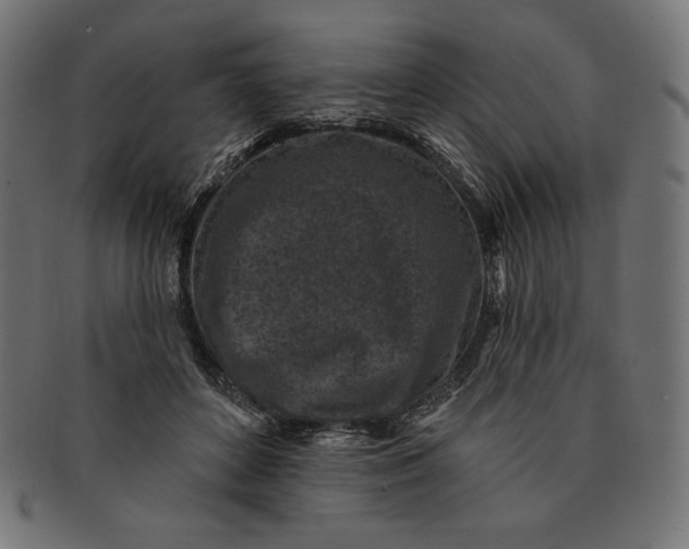 X0000091510504200709070957