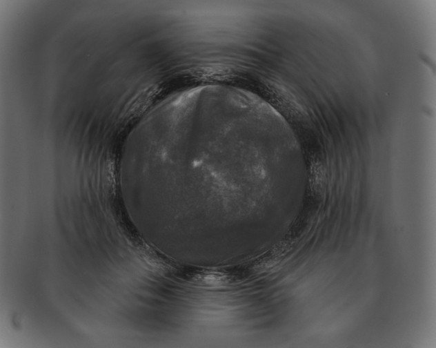 X0000091510506200709070957