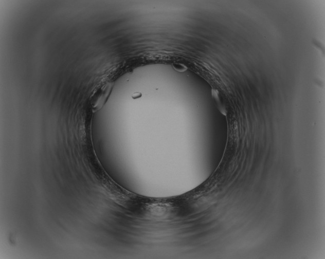 X0000091510508200709070956