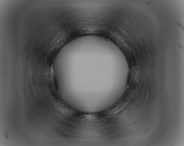 X0000091510509200709070956