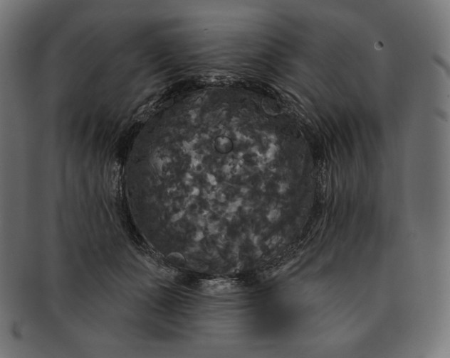 X0000091510511200709070956