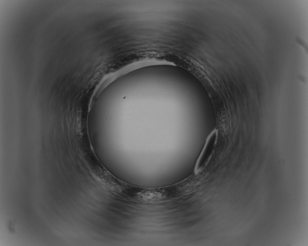 X0000091510512200709070956