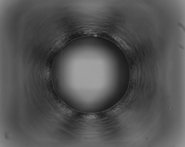 X0000091510513200709070956