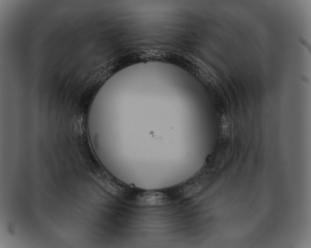 X0000091510514200709070956