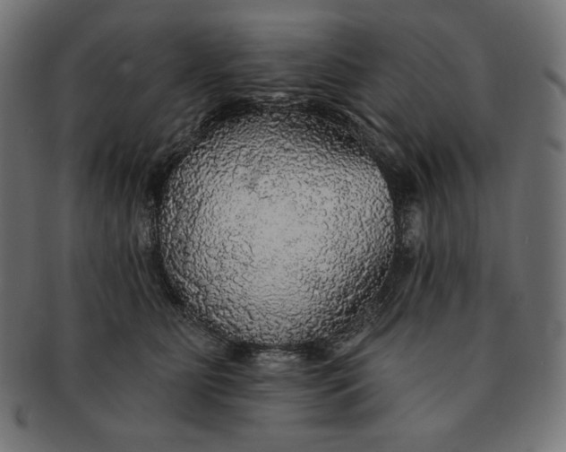 X0000091510515200709070956