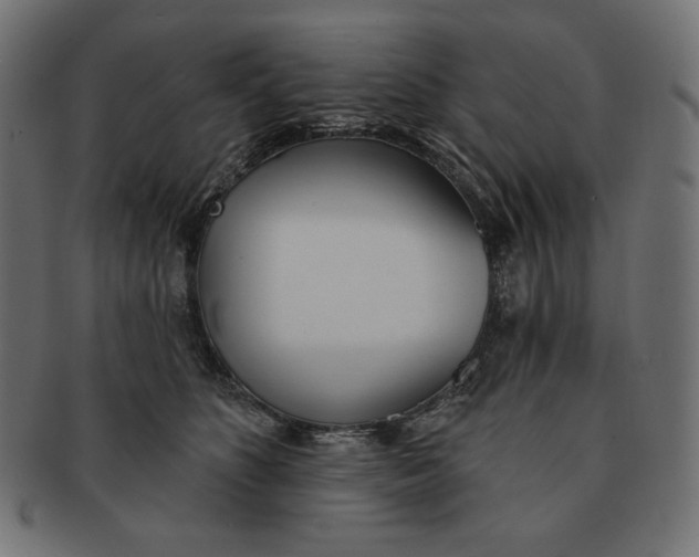 X0000091510516200709070956