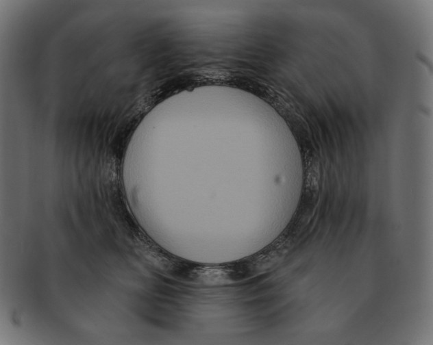 X0000091510518200709070956