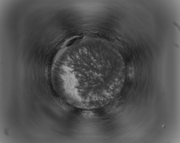 X0000091510519200709070956