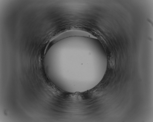 X0000091510520200709070956