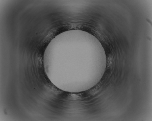 X0000091510522200709070956