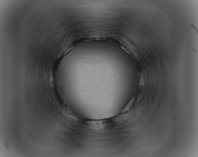 X0000091510524200709070956