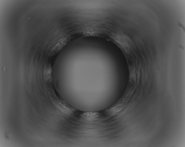 X0000091510526200709070956