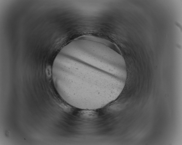 X0000091510528200709070956