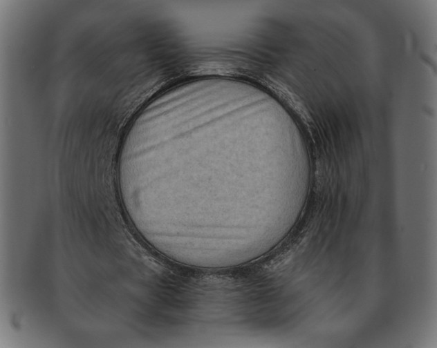 X0000091510529200709070956