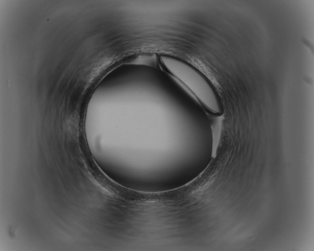 X0000091510530200709070956