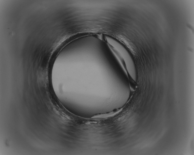 X0000091510532200709070956