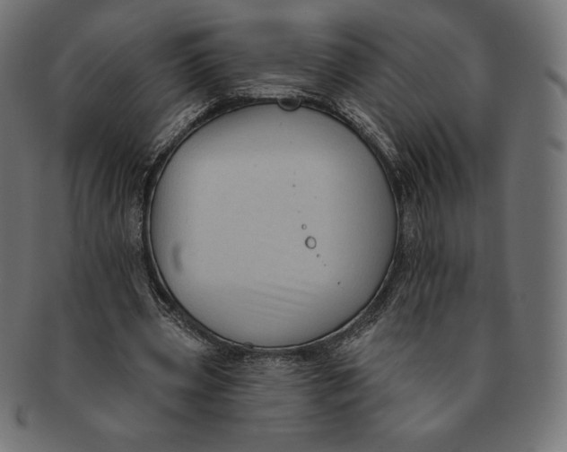 X0000091510533200709070956