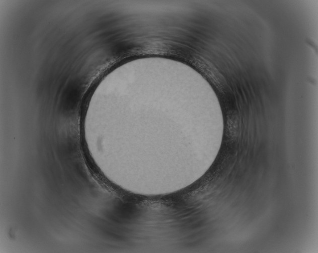 X0000091510534200709070956