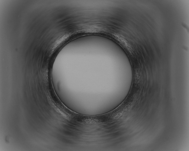 X0000091510535200709070956