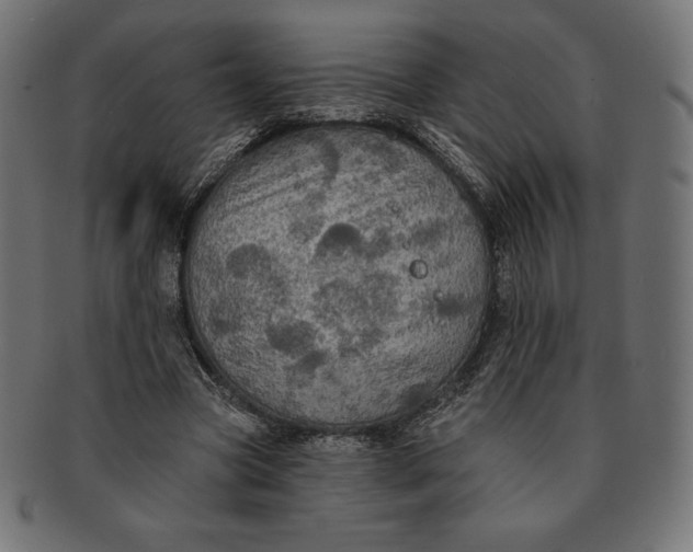 X0000091510537200709070956