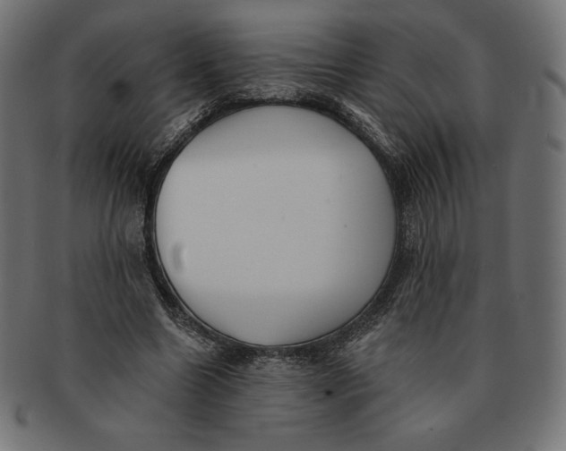 X0000091510538200709070956