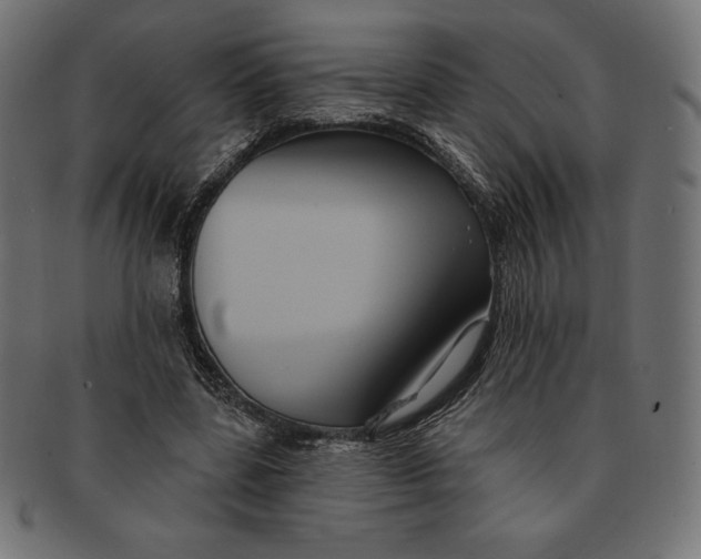 X0000091510539200709070956