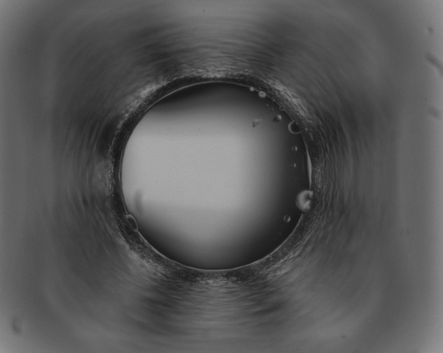 X0000091510540200709070956