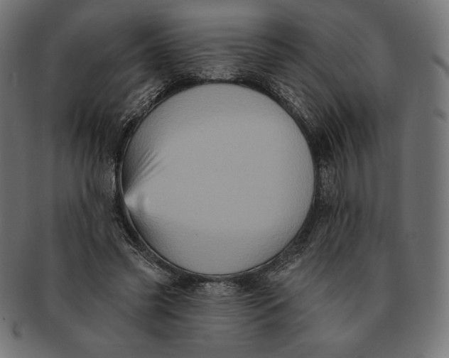 X0000091510541200709070956