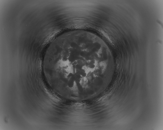 X0000091510542200709070956