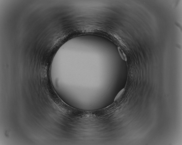 X0000091510543200709070956