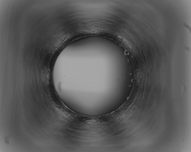 X0000091510544200709070956