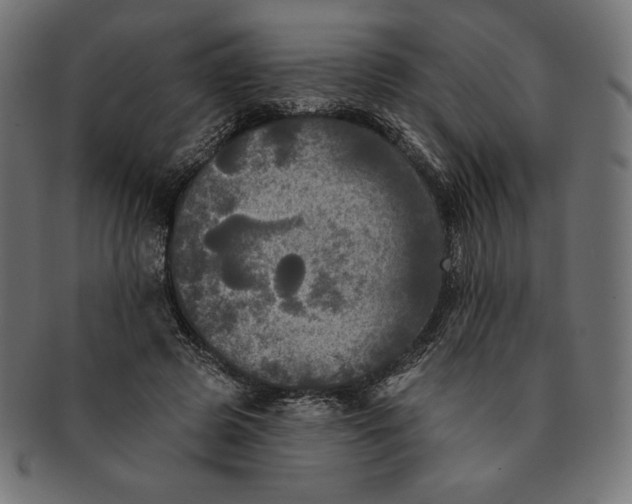 X0000091510545200709070956