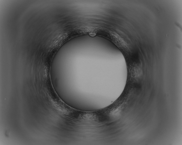 X0000091510546200709070956