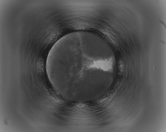 X0000091510547200709070956