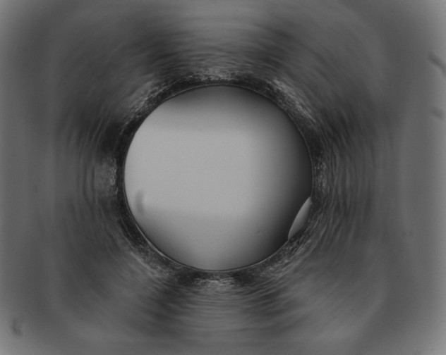 X0000091510548200709070956