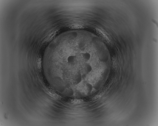 X0000091510549200709070956