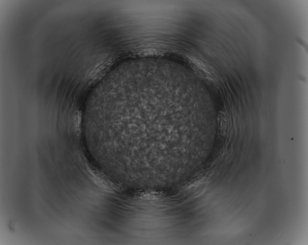 X0000091510550200709070956