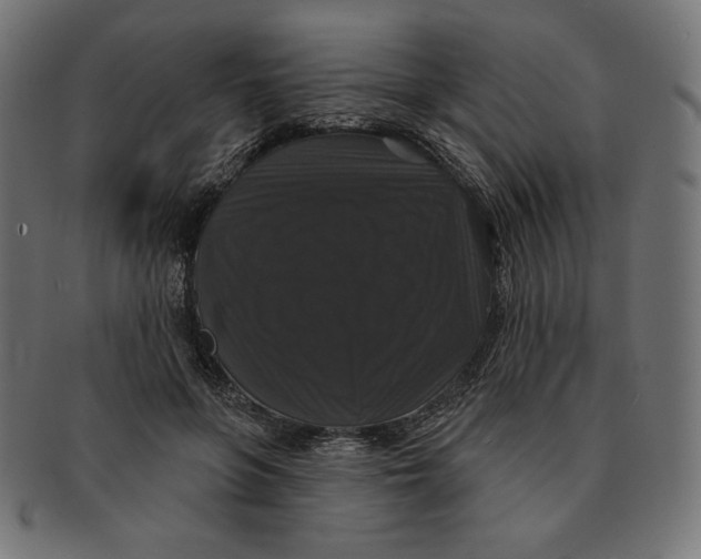 X0000091510551200709070956