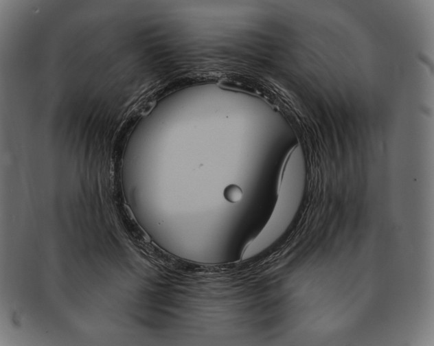 X0000091510552200709070956