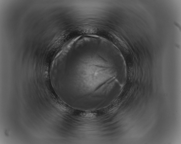 X0000091510553200709070956