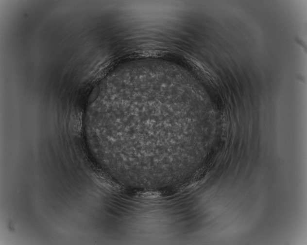 X0000091510554200709070956