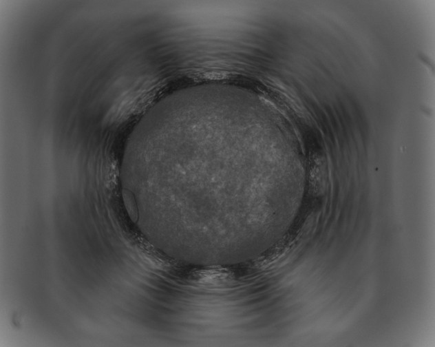 X0000091510555200709070956