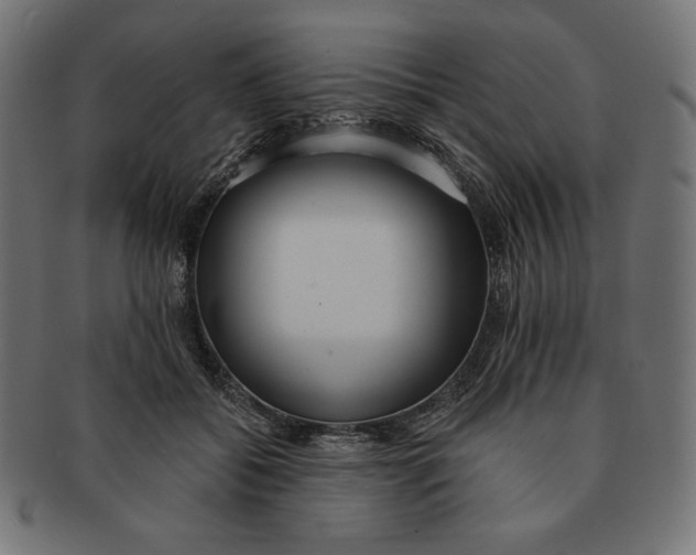 X0000091510556200709070956